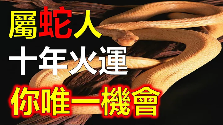 預測2024生肖運勢，十二生肖屬蛇人在今年得到命中的十年大運，只要抓住它，這十年大運，會助你一飛沖天，屬蛇人，你們即將迎來命中大運，屬蛇人要知道，這是你們唯一的機會，能夠把自己帶入更富貴的境地，阿南德 - 天天要聞