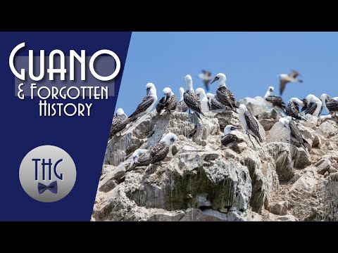 History of Peru and Guano, HD version