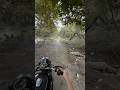 Riding Royal Enfield Bullet Through a Deep Jungle | Epic Adventure Ride