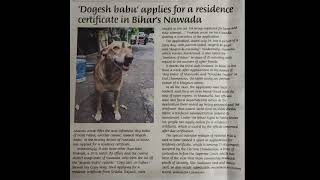 Dogesh bhai 🐕🦺in NEWSPAPER #subscribe #trendingshorts