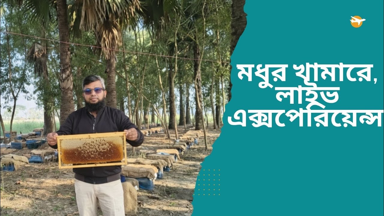 মাঠে গিয়ে মধু আহরণ করলাম, লাইভ এক্সপেরিয়েন্স How to Harvest Honey from field 