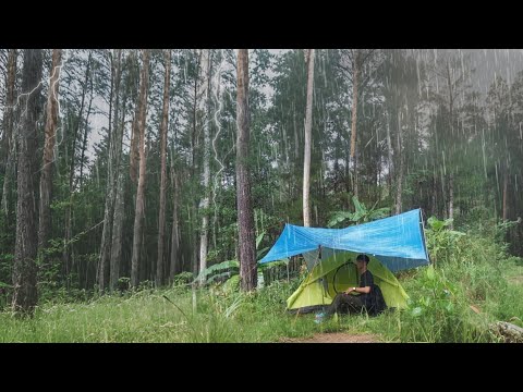 AMAZING SOLO CAMPING