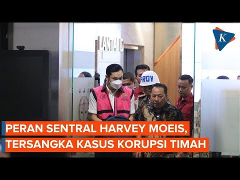 Ini Peran Sentral Harvey Moeis, Suami Sandra Dewi dalam Korupsi Timah