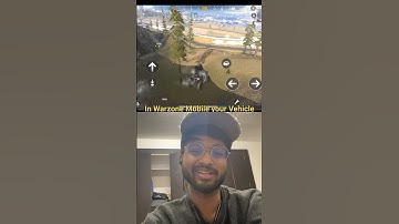 Which one is more realistic? CODM vs WZM