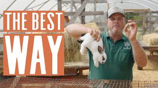 Rabbit Handling Tips From a Pro Farmer | Daniel Salatin