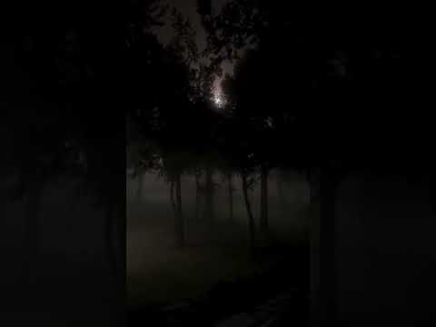 طفى قناديلي ستوريات تريند Tiktok Vrial Foryou