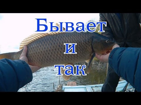 лучшая прикормка для карася в августе лучшая прикормка для карася в августе