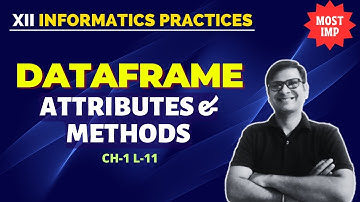 Dataframe Attributes and Methods | Data handling using Pandas | Class 12 IP