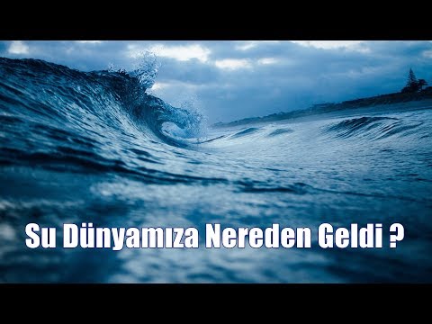 Dünyadaki Suyun Kaynağı Ne? Su Dünya'ya Nasıl Geldi?