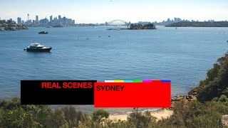 Real Scenes: Sydney | Resident Advisor