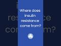 Where Insulin Resistance Really Comes From
