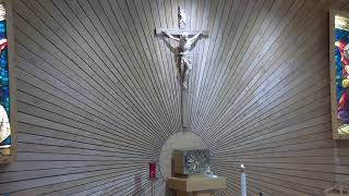 Fifth Sunday in Ordinary Time