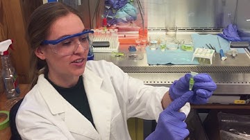 A Tour of the Rehse Biomedical Physics Lab at the University of Windsor