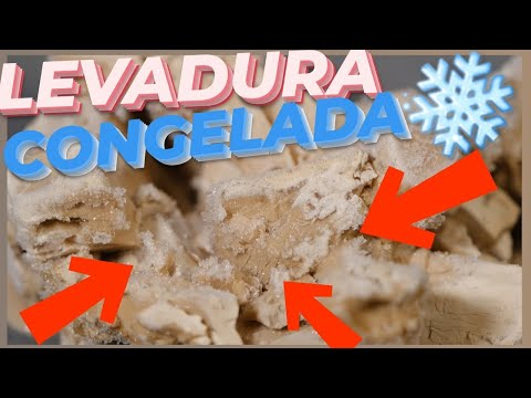 Video: Cómo Congelar Levadura