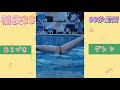 福袋25 見たほうがええで