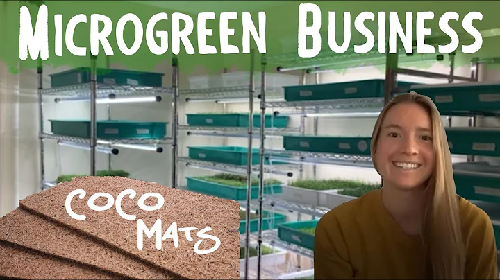 Katherine Explains How to START a SUCCESSFUL Micro...