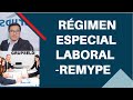 En vivo ♦ Regimen Espcial Laboral -REMYPE -Grupseld