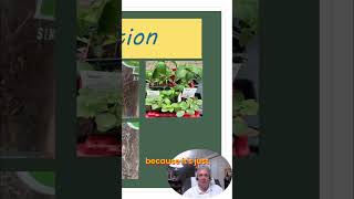 Best Garden Plants: Avoid Pitfalls &amp; Choose Wisely! #shorts