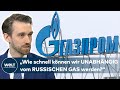 NEUE ENERGIEPOLITIK: Warum Robert Habecks Gasreserve-Pläne nach hinten losgehen können