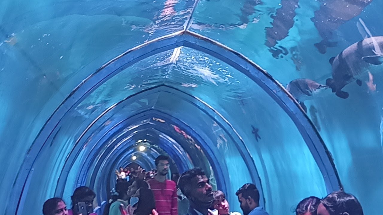 Vellore Exhibition 2022 Subway Tunnel Sea Fish Live YouTube