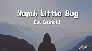 Numb Little Bug 1 Hour Loop (lyrics) by Em Beihold