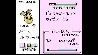 ゆっくり実況 ポケモンクリスタルをヒマナッツ１匹でクリア Part4 Youtube