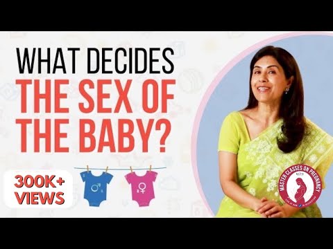 What determines the sex of the baby?| Dr Anjali Kumar | Maitri