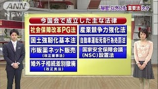 「決める政治」功罪は？