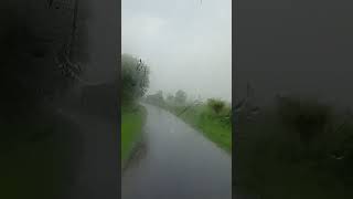 #jungle #shorts #trending #vlogs #reels #spotlight #best #star