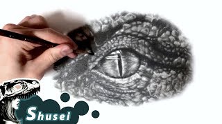How to draw Dinosaur's eye / Pencil drawing｜鉛筆画／恐竜の目の描き方 screenshot 5