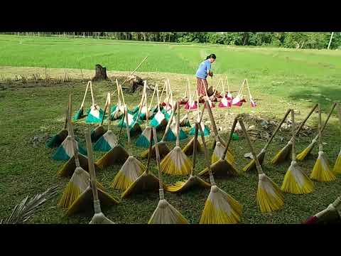 Video: Ano ang Gagawin Sa Broomcorn: Pag-aani ng Broomcorn Para sa Mga Craft At Higit Pa