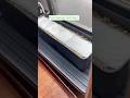 How To Grow Lettuce From Seed How To Grow Lettuce From Seed