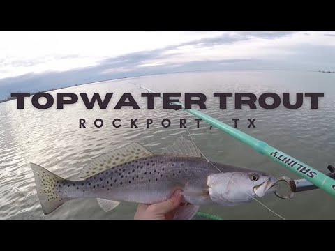 Speckled Trout Can't Resist Topwater | Wading Rockport TX