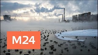 "Климат-контроль": какие сюрпризы подготовила погода в начале февраля - Москва 24 "Климат-контроль": какие сюрпризы подготовила погода в начале февраля - Москва 24