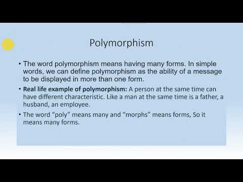 OOPS Concept with Real-world example