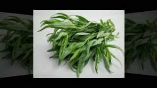 Organic Gardening - What is Tarragon