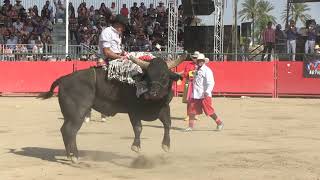 JARIPEO - JINETE &quot;GALLITO DE JALISCO&quot; -VS- TORO &quot;EL RAPTER&quot;