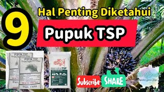 9 Hal Penting Pupuk Tripel Super Phospat (TSP)