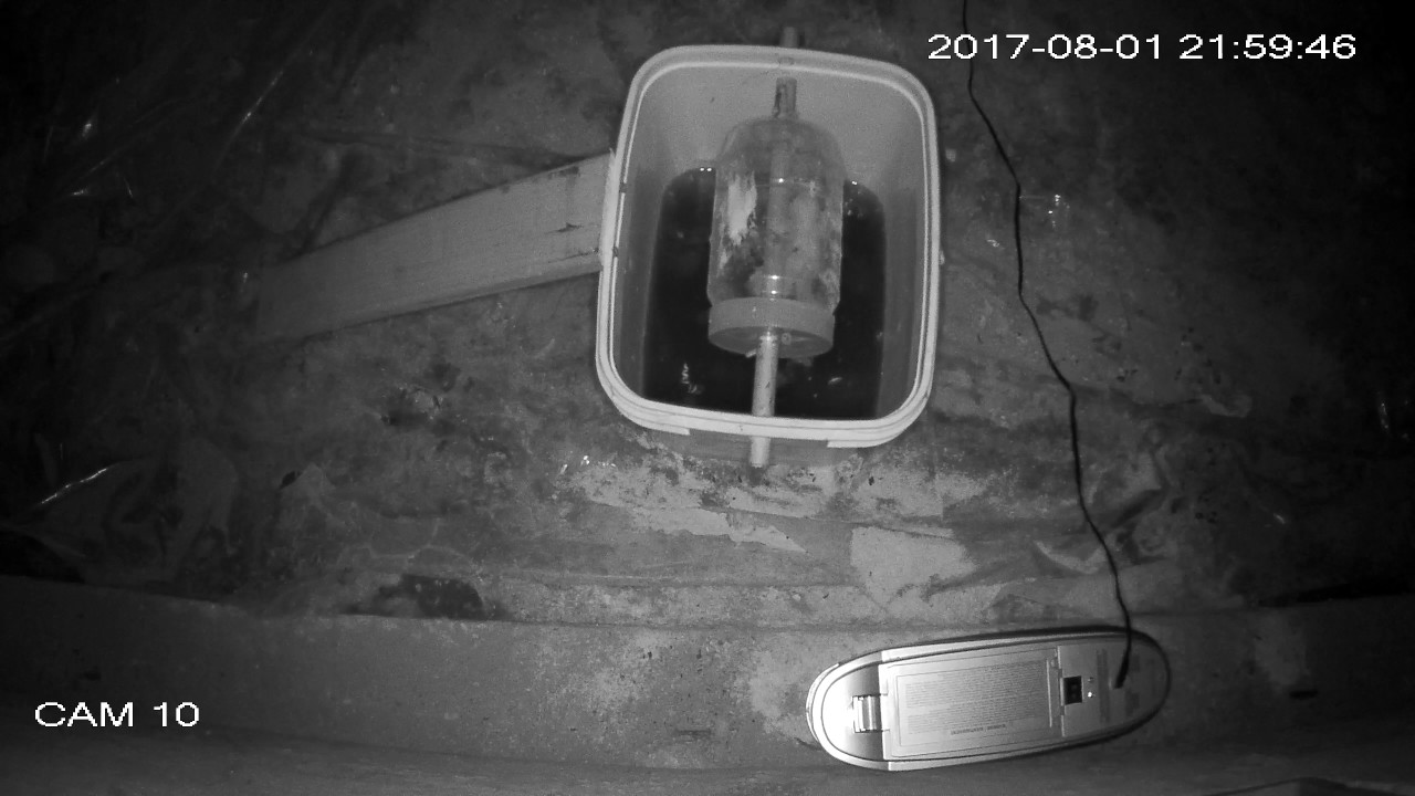 Rat Zapper Ultra RZU0014 Rodent Trap YouTube