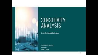 Sensitivity Analysis BUSN604