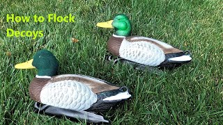 How to Flock Duck Decoys- Bring More Birds into Your Decoys