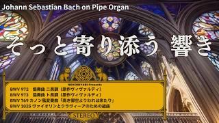 やさしい夜の聖堂】バッハの祈り – オルガンとチェンバロの対話Bach