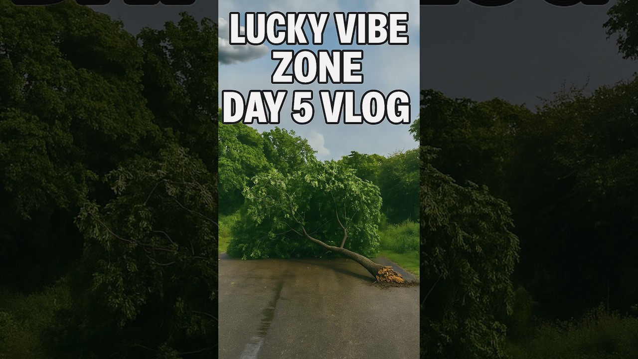 ||Tufan Se girra pedh 🌲😱||     Lucky Vibe Zone