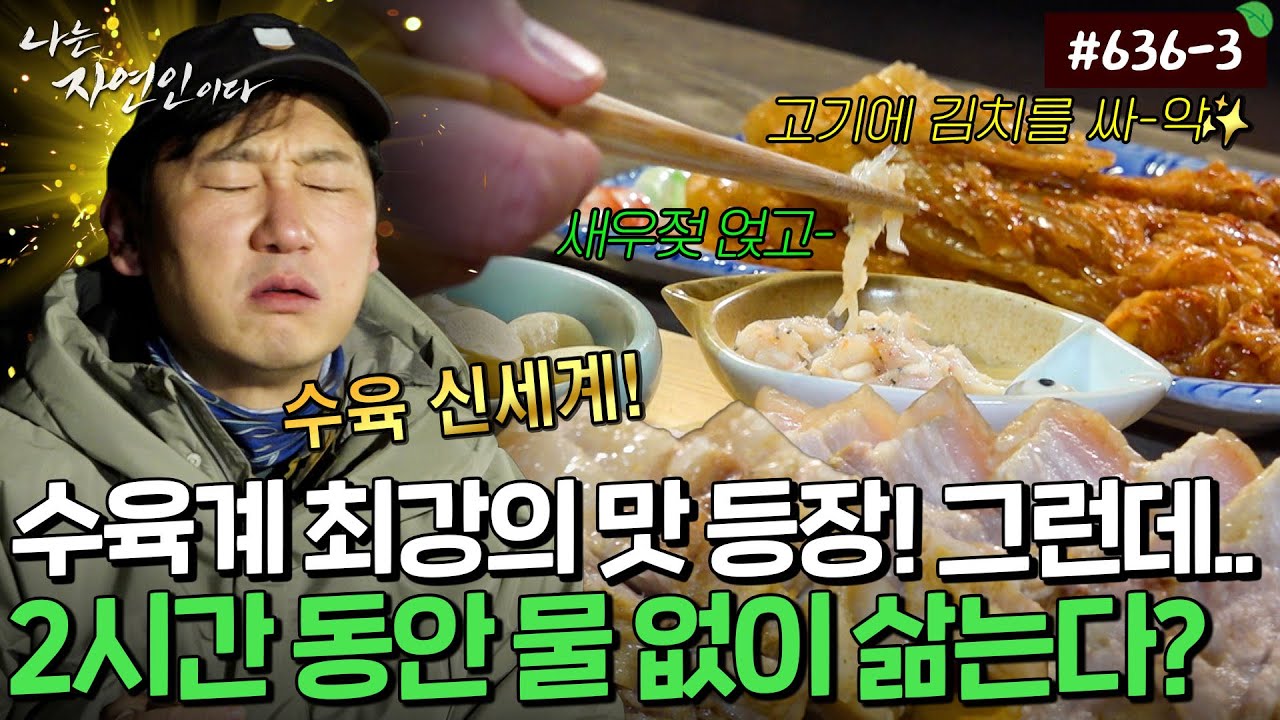 특별한 재료 없이 고기에서 나는 땀(?)으로 삶아낸 야들야들한 수육의 맛..✨｜자연인 다시보기 636-3