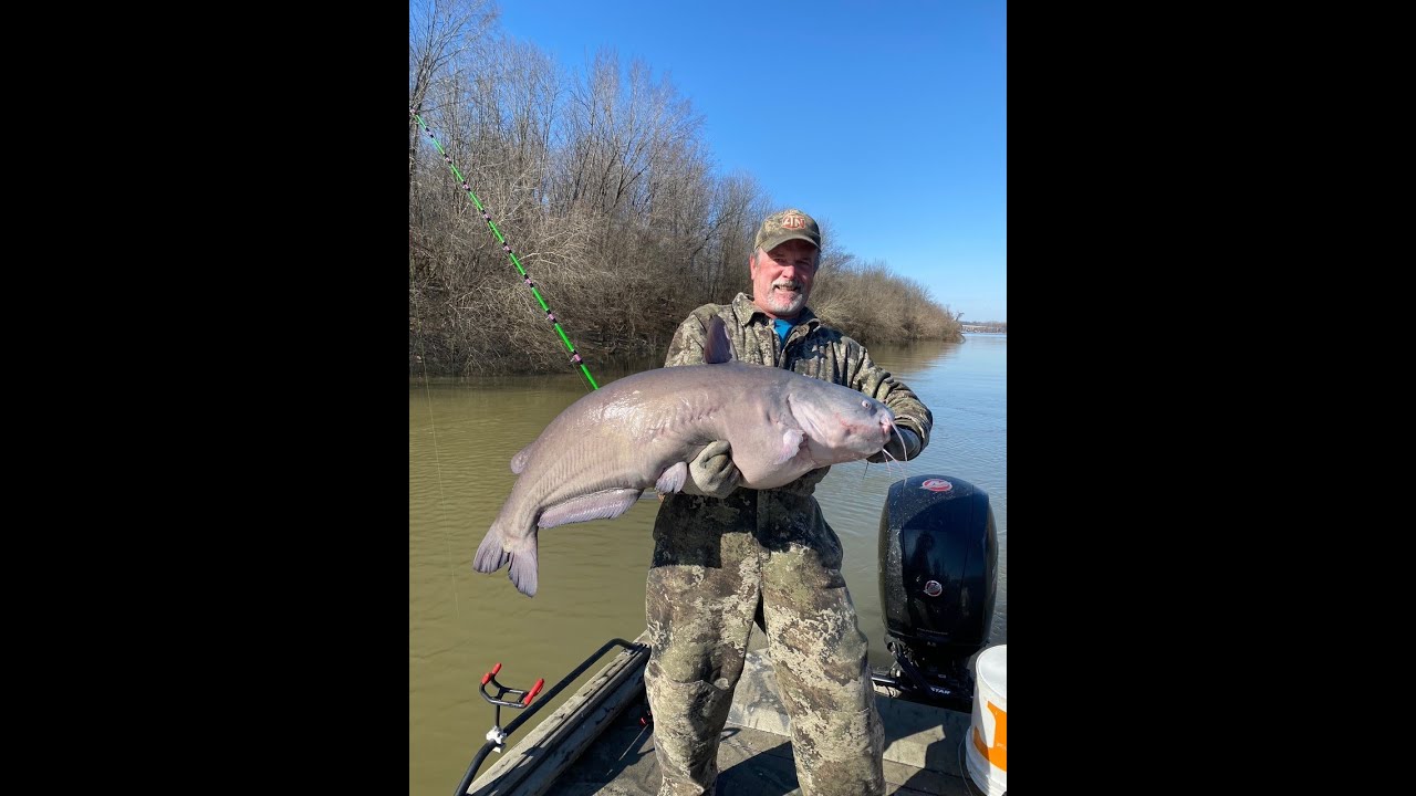 Catching Monster Blue Catfish on the Ohio River in January YouTube