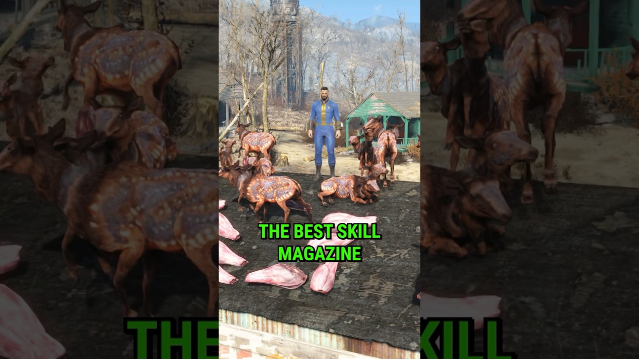 The Best Skill Magazine in Fallout 4 Survival