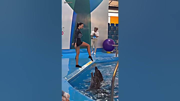 Jab Dolphin trick Me Hui Gadbad(_@umer2m) #dolphin #viralvideo #youtubeshorts