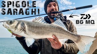 SEABASS and BREAM under the WAVES - ft DAIWA BG MQ