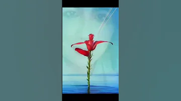 ياصباح الخير ياصباح الورد 