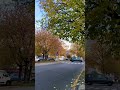 A routine autumn day with street view! #love #stressrelief #relaxingmusic #highvibes #flute